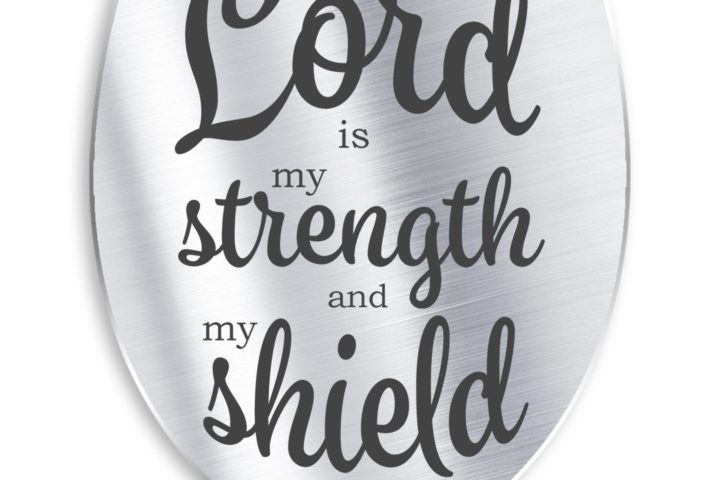 Psalm 28:7 The LORD is my Shield (Sermon)